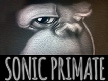 Sonic Primate