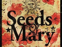 Seeds Of Mary