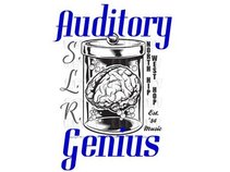 Auditory Genius