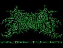 Intestinal Dissection