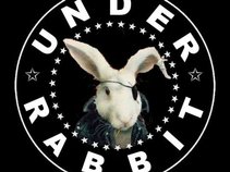 Under Rabbit