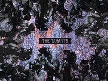 The Tarants