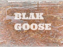 Blak Goose