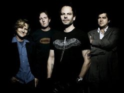 Image for Gin Blossoms