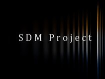 SDM Рroject