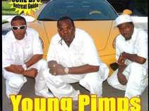 YOUNG PIMPS