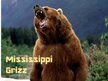 Mississippi Grizz