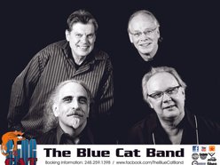 Image for The Blue Cat Band