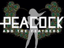 Peacock and the Feathers