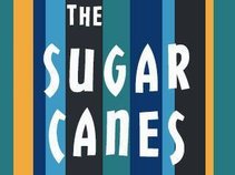 The Sugar Canes