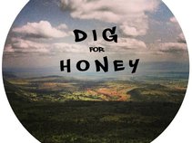 Dig for Honey