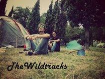 The Wildtracks