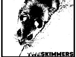 Image for The Skimmers