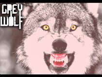 Grey Wolf (الذئب الرمادي)