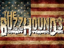 The Buzzhounds