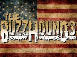 Image for The Buzzhounds