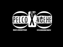 Pelcox Ngehe