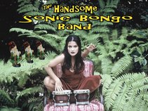 Handsome Sonic Bongo Band