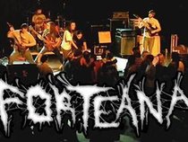 Forteana Band
