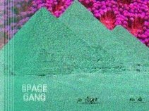 Space Gang