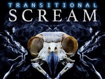 Transitional Scream