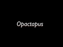 Opactapus