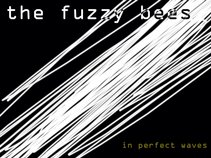 The Fuzzy Bees