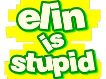 elin is stupid
