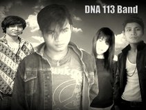 DNA 113 Band