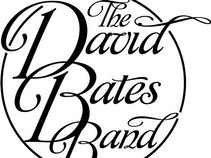 The David Bates Band