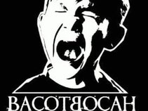 BACOT BOCAH
