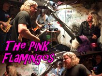 The Pink Flamingos