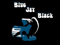 Blue Jay Black