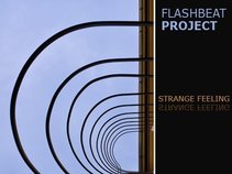 Flashbeatproject