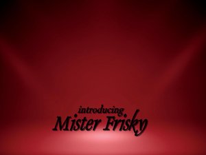 introducing Mister Frisky