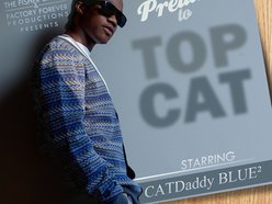 Image for CATDaddy BLUE²