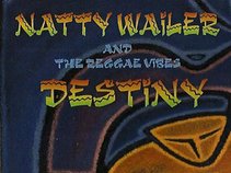 Natty Wailer and The Reggae Vibes