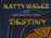 Natty Wailer and The Reggae Vibes