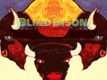 Blind Bison