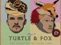 Turtle & Fox