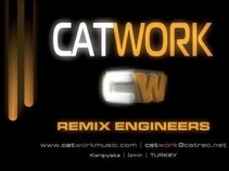 Catwork Remix Engineerss