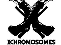 The X Chromosomes