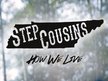Step Cousins