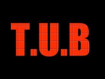 T.U.B. RECORDS L.L.C.