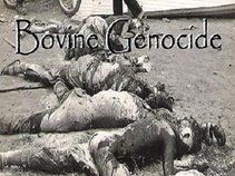 Bovine Genocide