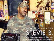 Stevie B