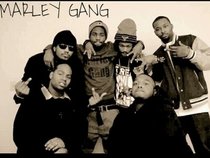 Marley Gang