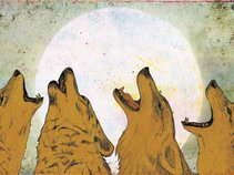Coyote Choir