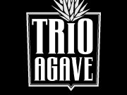 Trio Agave