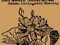 Shawn Livingston Moseley